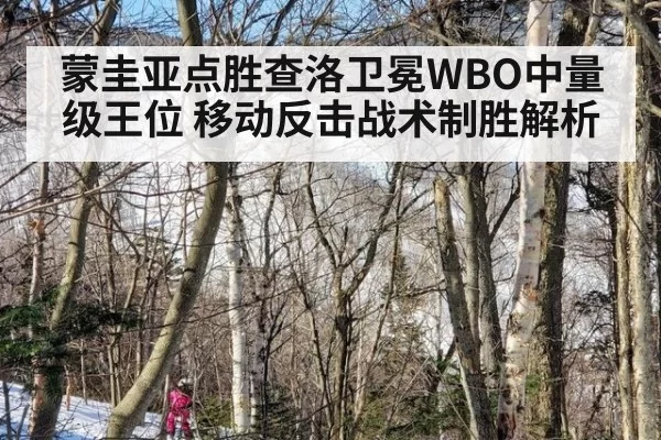 蒙圭亚点胜查洛卫冕WBO中量级王位 移动反击战术制胜解析