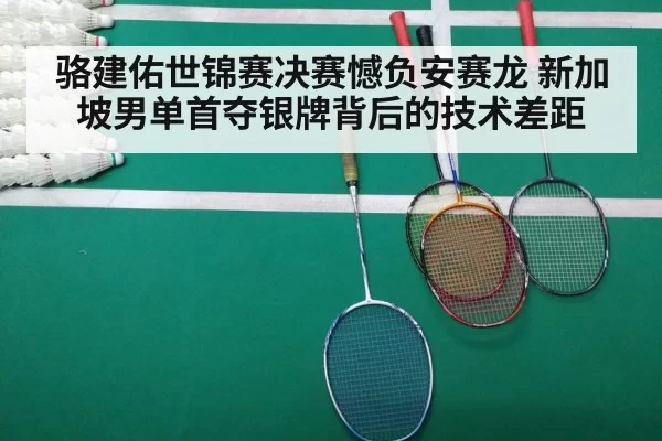 骆建佑世锦赛决赛憾负安赛龙 新加坡男单首夺银牌背后的技术差距